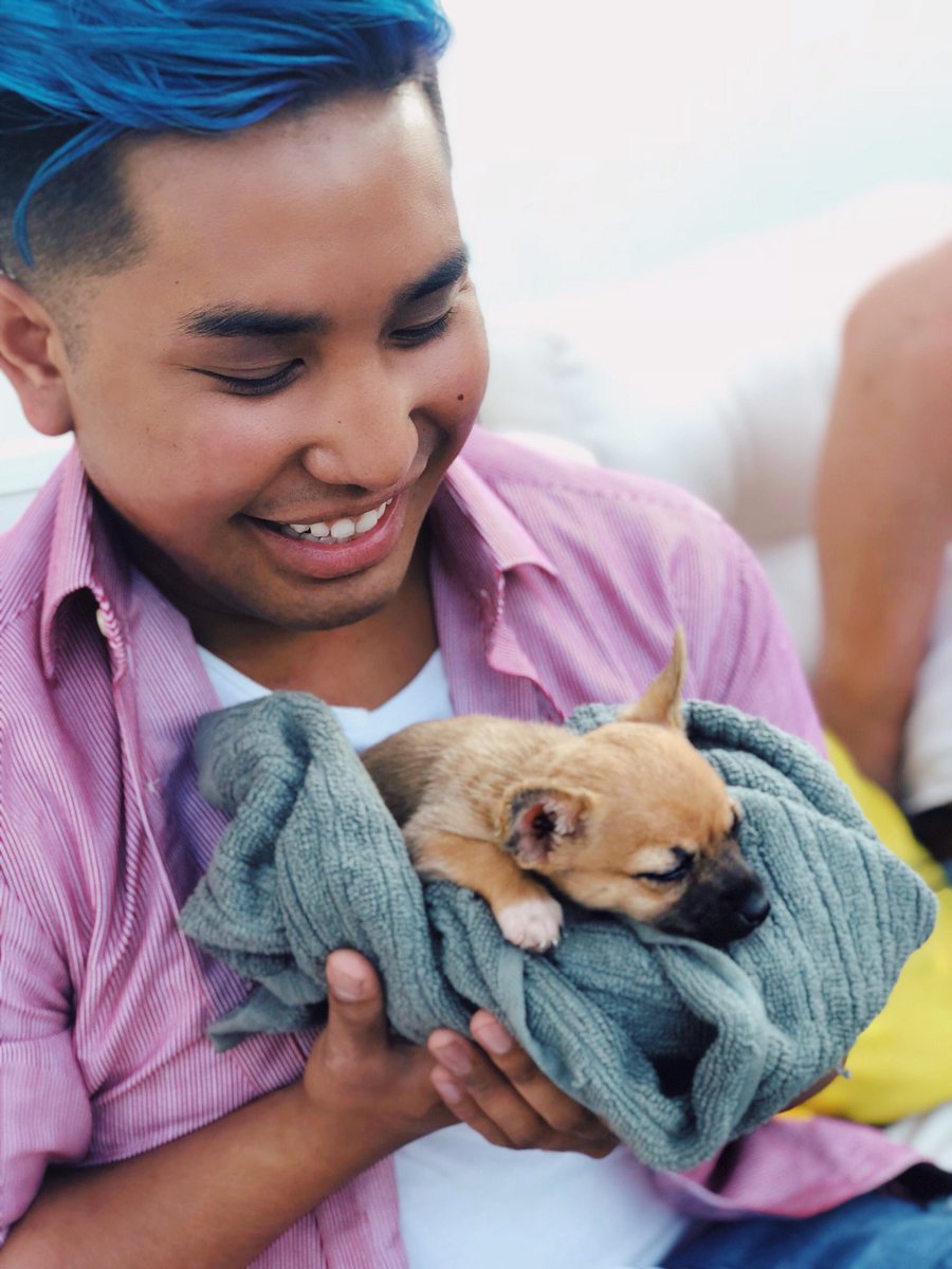 heyitspeterrr_'s tweet image. TWITTER HELP 😭🐶