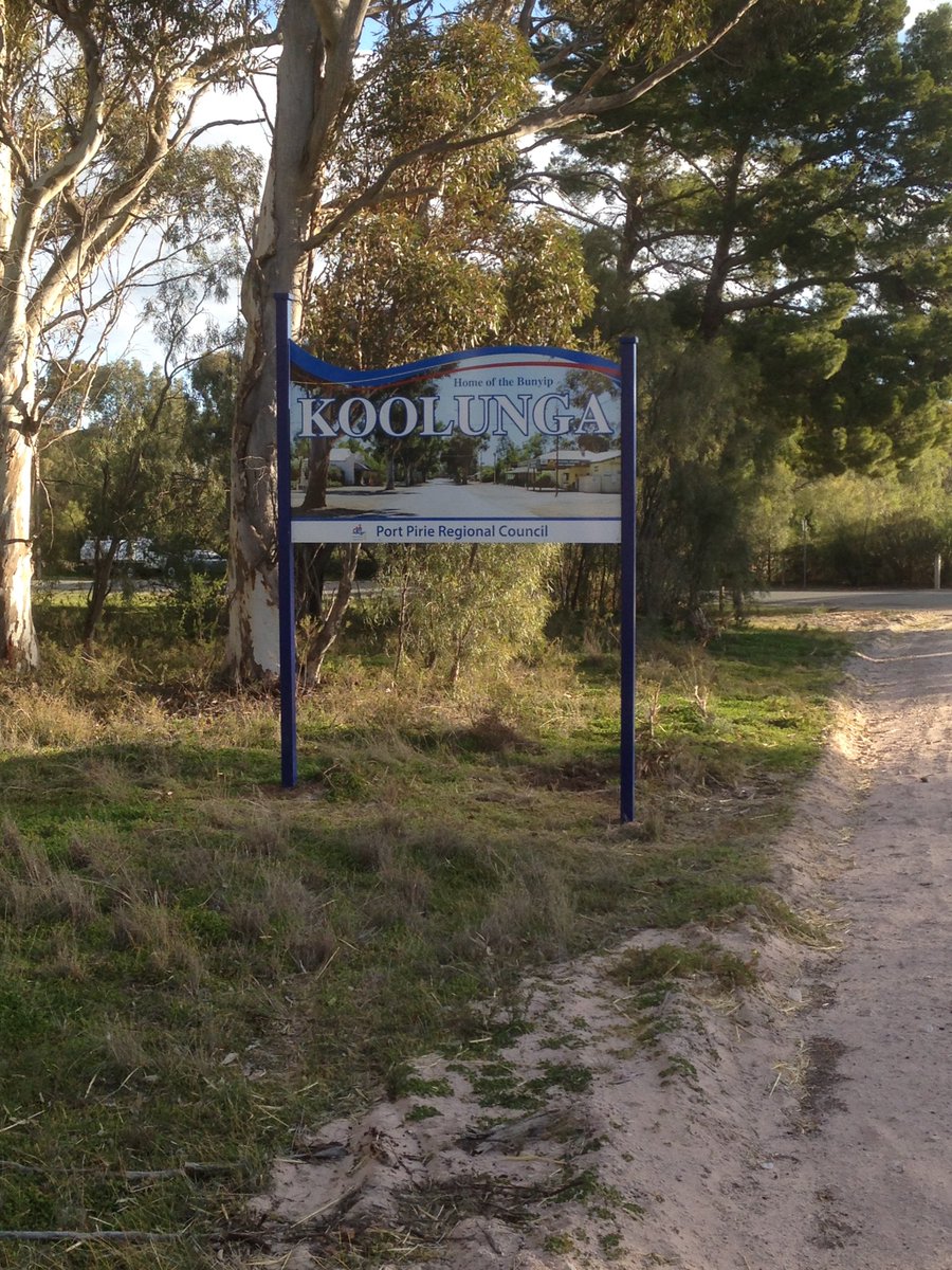 PPRCSA's tweet photo. Koolunga also has some great new entrance signs. #RegionsMatter @piperden @rachael_nell @visitportpirie @tourismsa #homeofthebunyip #koolunga #ruralliving https://t.co/wgQ9suVOgj