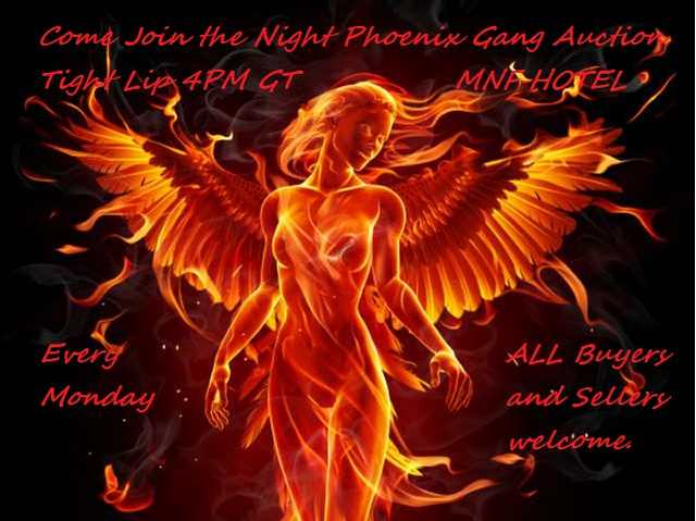 Night Phoenix Gang tweet media