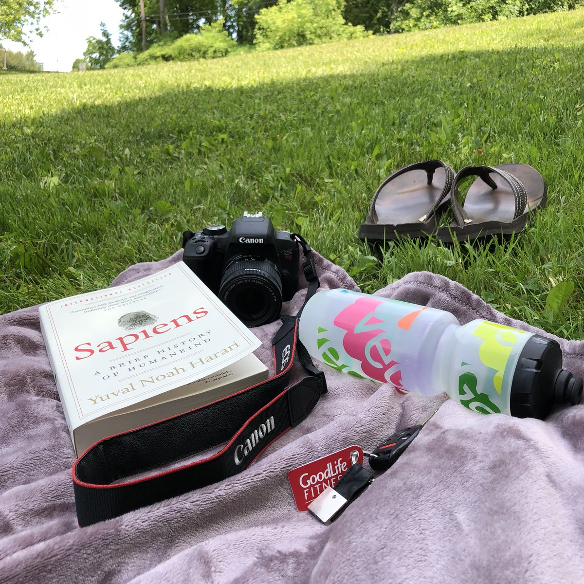 fatguygoesvegan's tweet photo. Fine summer day to get grounded and enjoy nature while I dig further into #Sapiens by @harari_yuval which is FANTASTIC. #highlyrecommended https://t.co/XMXdvT6r4H