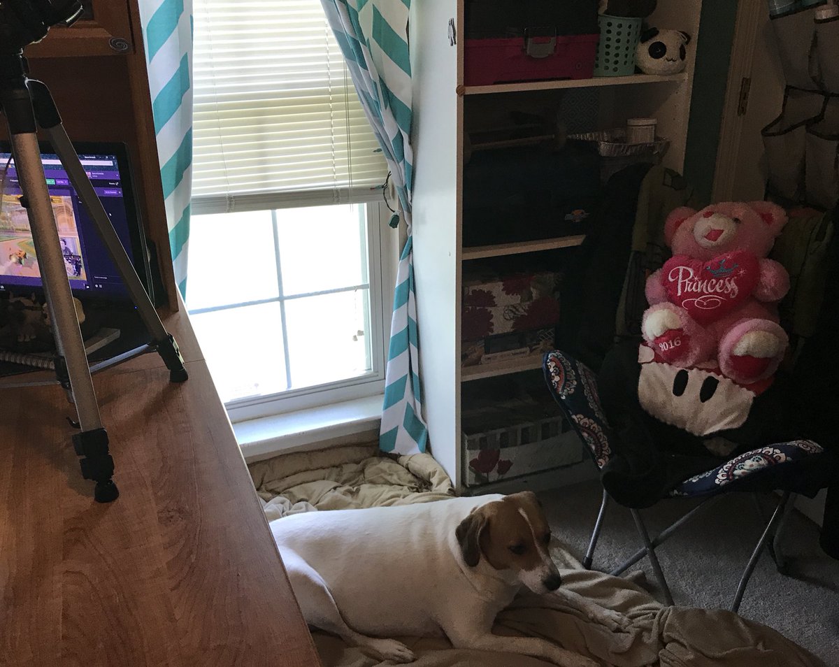 SpaceAmandaxo's tweet image. Just wanted to share my happy little #commandcenter (despite how nerdy that sounds it&apos;s really the best way to describe it. Also in this office is my craft room which I can share pictures of too! . 
#nerdythings #gamer #streamer #grillgamer #twitchstreamer #thenestcommunity