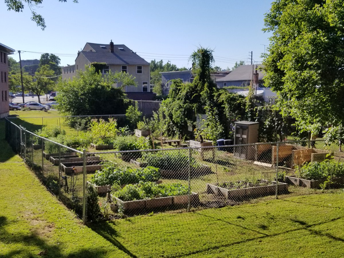 Today was the 2nd Annual Serve Day at WCG sponsored by Redemption Community Church (RCC).  Weber gardeners, The Giver's Hand, PCC HS youth, and members of RCC came together to rebuild the compost bins, fix our shed, plant 3 apple trees/several perennials, and water our plants.