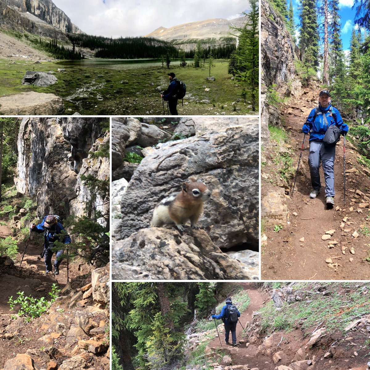 macwiebes's tweet photo. Hike 46/52 - #rockboundlake (19k)
Another fun hike with @photohunter2 to #silvertonfalls , #towerlake & #rockboundlake Lots of amazing scenery!
#52HikeChallenge #adventurebuddy #hiking #ourlife #goodtimesoutside https://t.co/pljhd7qNgy