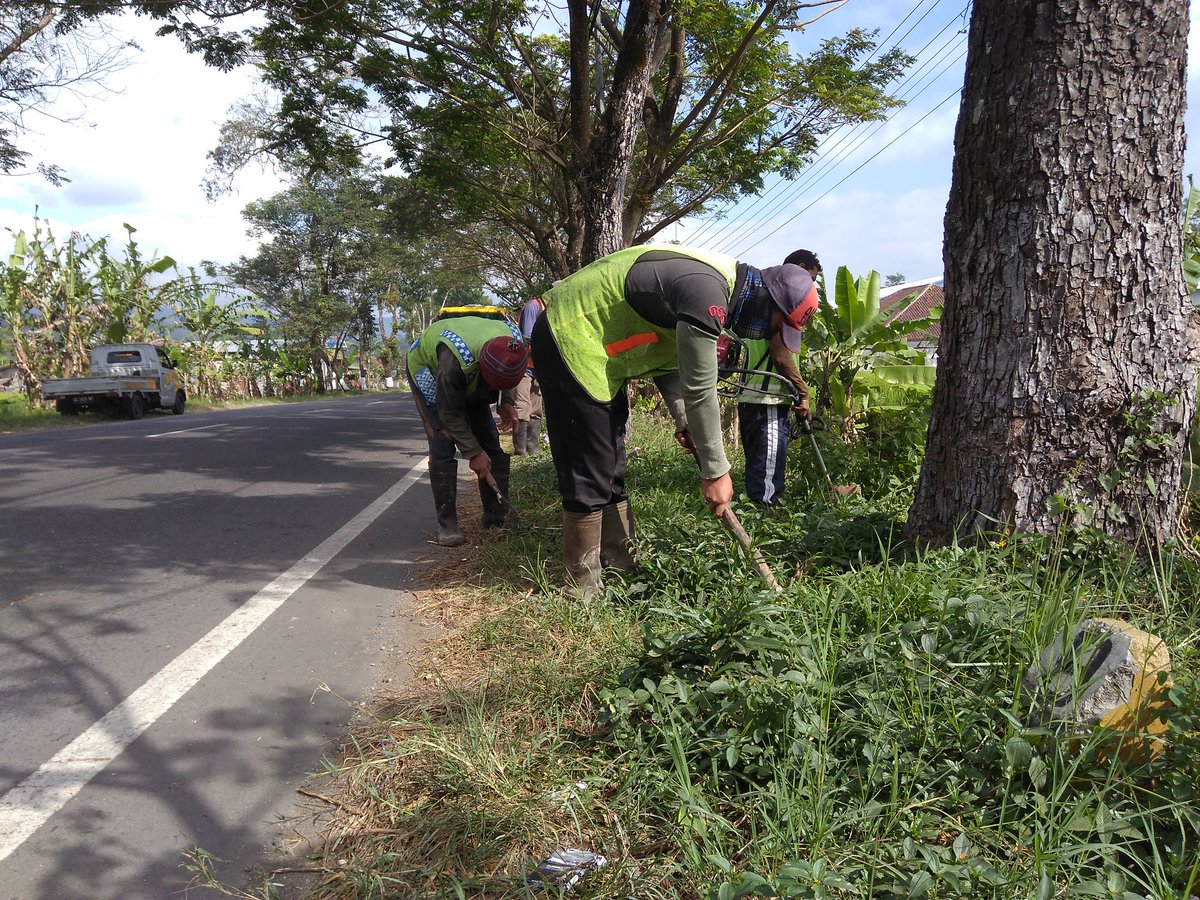 AAyodia's tweet photo. Menyongsong HUT Proklamasi kemerdekaan Republik Indonesia Ke-73, ruas jalan Nasional di wilayah PPK.S 01 Wonosobo dipercantik. Seperti pada ruas Selokromo - BTS Kota Wonosobo di km Mgl 72+900, nampak sejumlah pekerja sedang membersihan bahu jalan serta mengecat pohon ayoman. #Ant https://t.co/dCx1A9CXFy