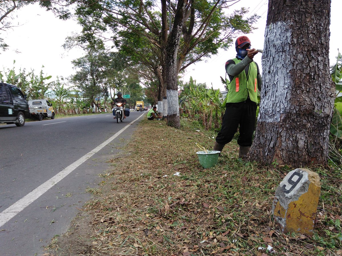 AAyodia's tweet photo. Menyongsong HUT Proklamasi kemerdekaan Republik Indonesia Ke-73, ruas jalan Nasional di wilayah PPK.S 01 Wonosobo dipercantik. Seperti pada ruas Selokromo - BTS Kota Wonosobo di km Mgl 72+900, nampak sejumlah pekerja sedang membersihan bahu jalan serta mengecat pohon ayoman. #Ant https://t.co/dCx1A9CXFy