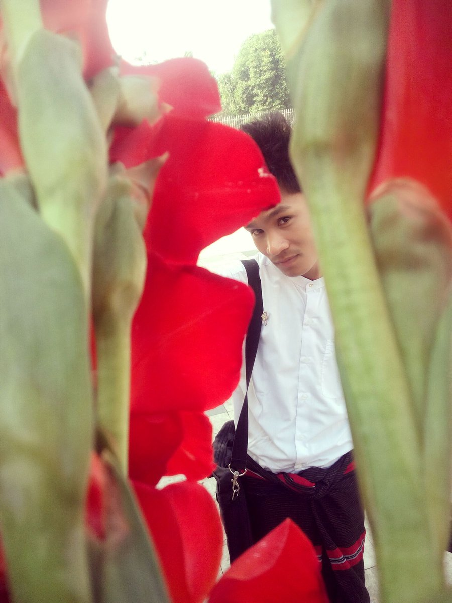 PyaeShinMin2 tweet picture