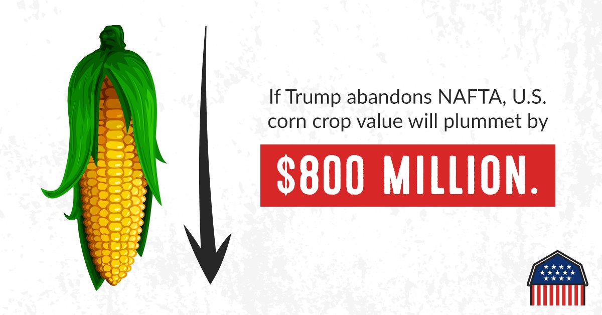 COgrown's tweet image. Farmers are already facing depressed commodity prices, they don't need the threat of tariffs hurting their export markets. #DYK 32% of gross farm income comes directly from exports? #RethinktheTariffs. Farmers need #TradeNotTariffs.