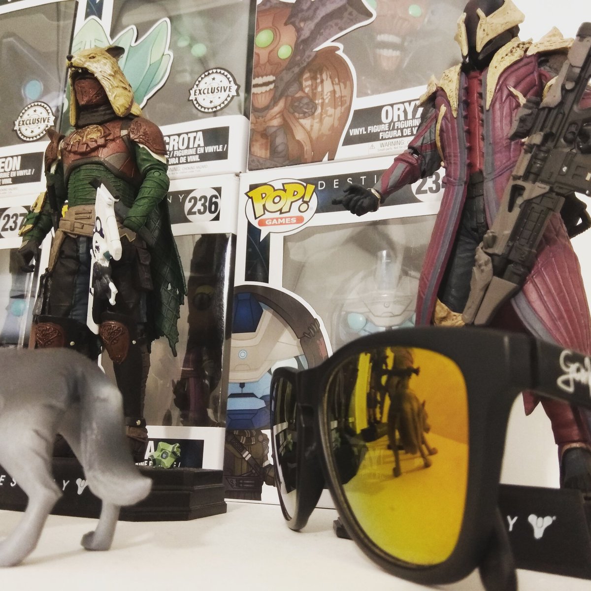 gamwold's tweet photo. Tus gafas de sol siempre cerca https://t.co/unBSTov6QX