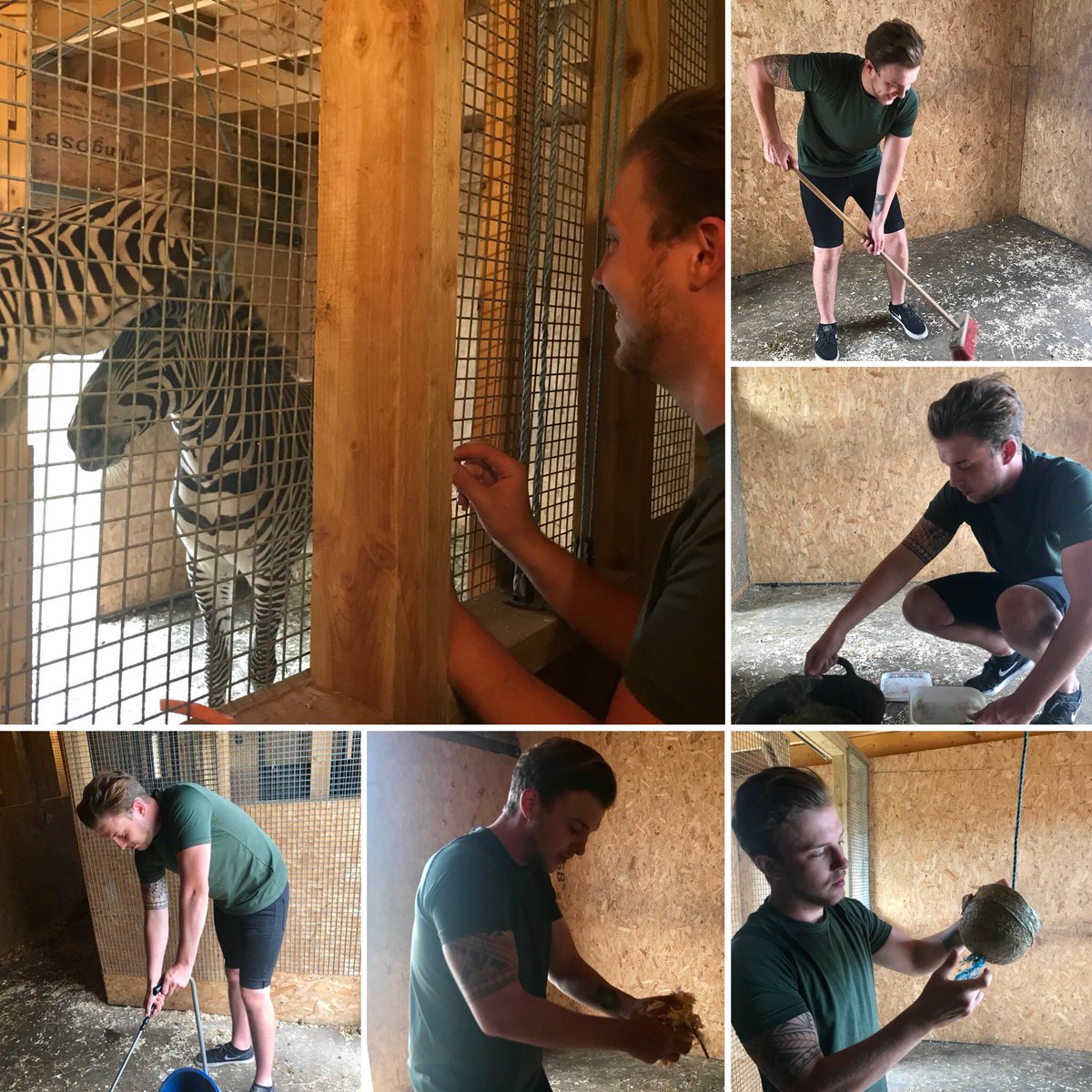 Fife Zoo (Fife_Zoo) Twitter