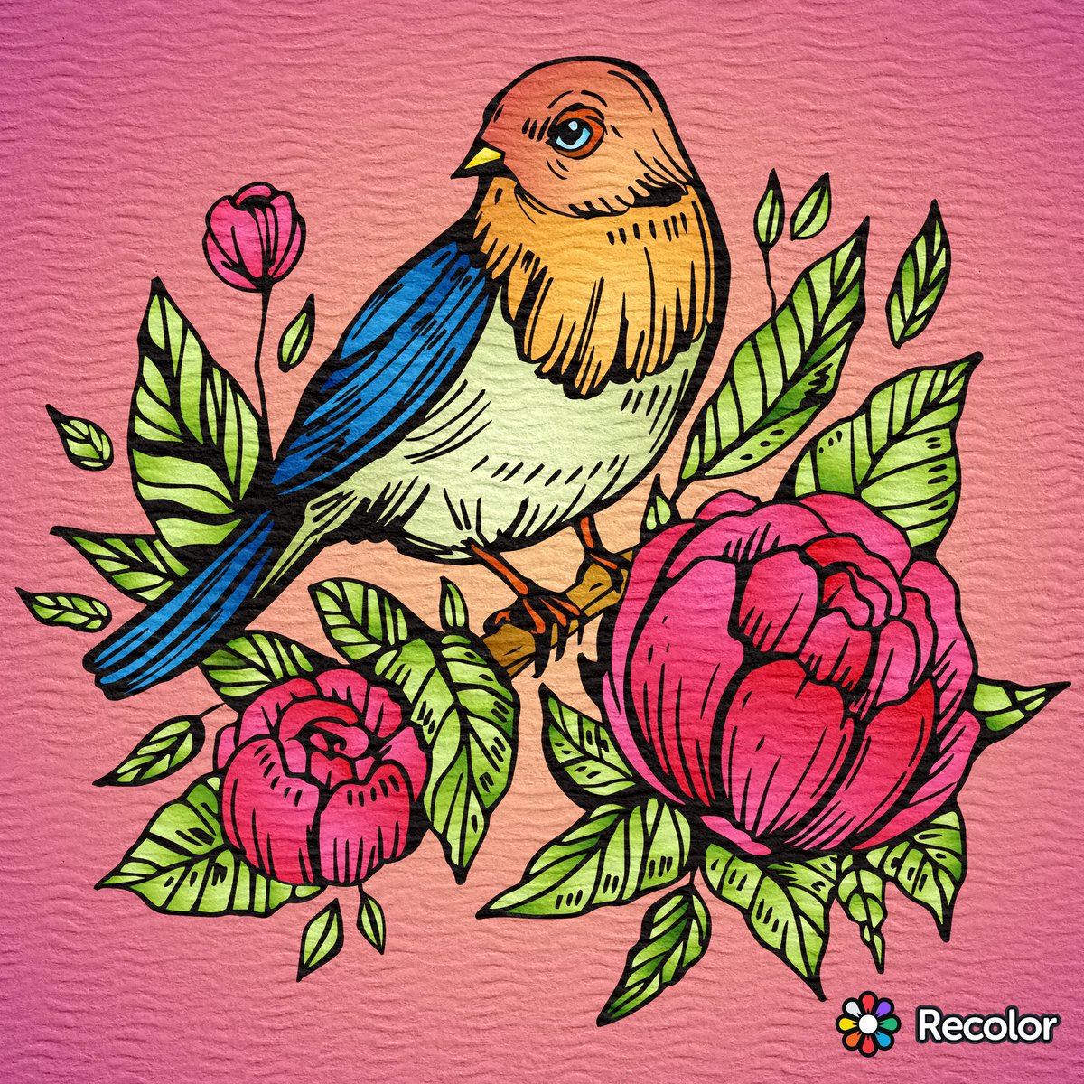 music2622's tweet photo. #FelizLunes 🐤
#Recolor 💕 https://t.co/3XcYmqfEFX
