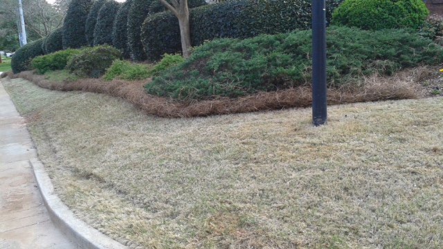 strongarmland's tweet photo. Garden and Landscape Design

We bet you won't get any of our Garden and Landscape Design repeated ever. Your dream is well interpreted by us. Email us on brianpino36@gmail.com.

🌐https://t.co/oEQaGnLuVi
☎️(678) 654-2165

#strongarmlandscaping #Garden_Landscape_Design https://t.co/87o2DWtCDc