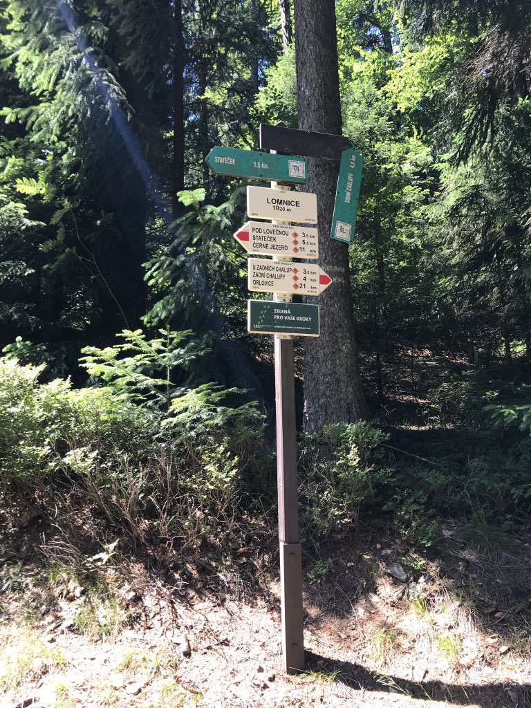 retroturistika's tweet photo. Příroda okolo kopce Lomnice na Šumavě (49.22372°N 13.10615°E) #lomnice #sumava #forest #landscape #nature #cesko #czechia #zemeceska #vylet #putovani #turistika #travel #trip #explore #interesting #visit #visitcz #visitCzechia #heritage https://t.co/cFEMzordFj