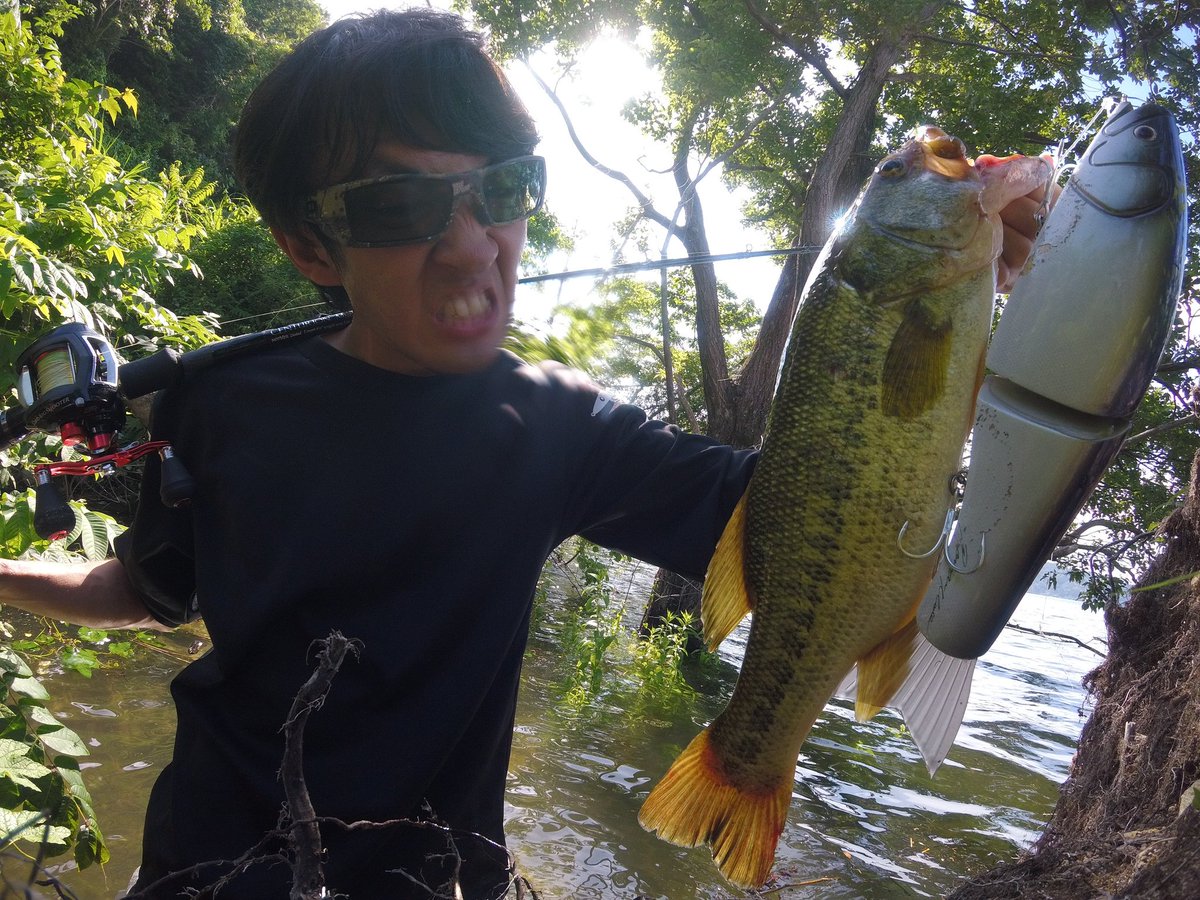tennen_shintyan's tweet photo. ドッパーン!スーーグリグリグリチョーーンガシーン!
気持ちよすぎた
#romanmade
#mother
#motherfish
#centurionmind
#motherlimited https://t.co/JwlkfH6cVN