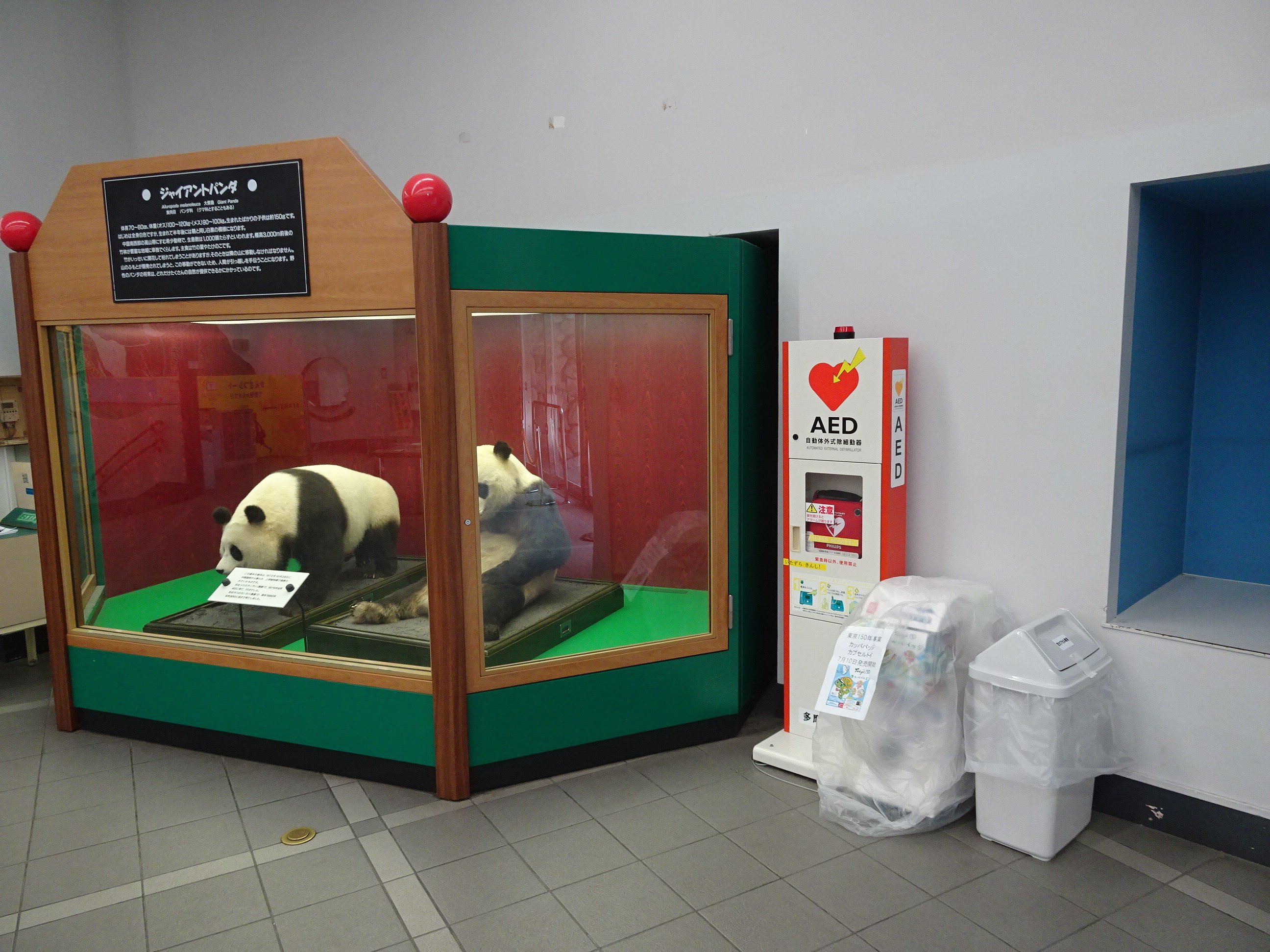 ぱんだ公園 アクションコム・スイング遊具 の一覧