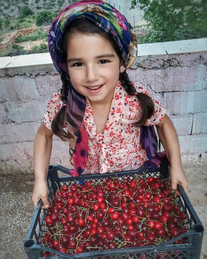 ExplorerTurk's tweet image. 