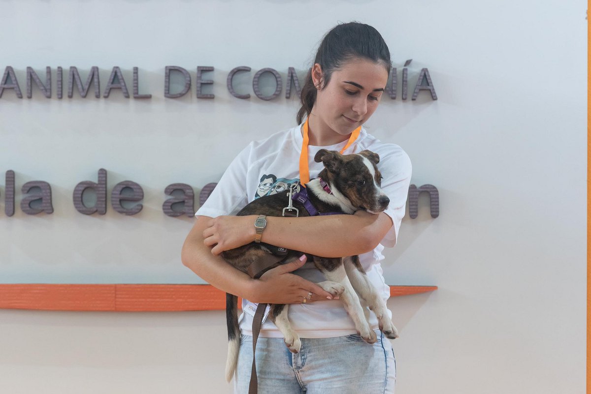RadioArucas's tweet image. Éxito de adopciones en #Animundo. 45 perros del Albergue Insular de Animales de #Arucas ya tienen un nuevo hogar y personas que les dan cariño. La I Feria de los Animales de Compañía tenía el objetivo no solo promover las adopciones, sino la tenencia responsable de animales.