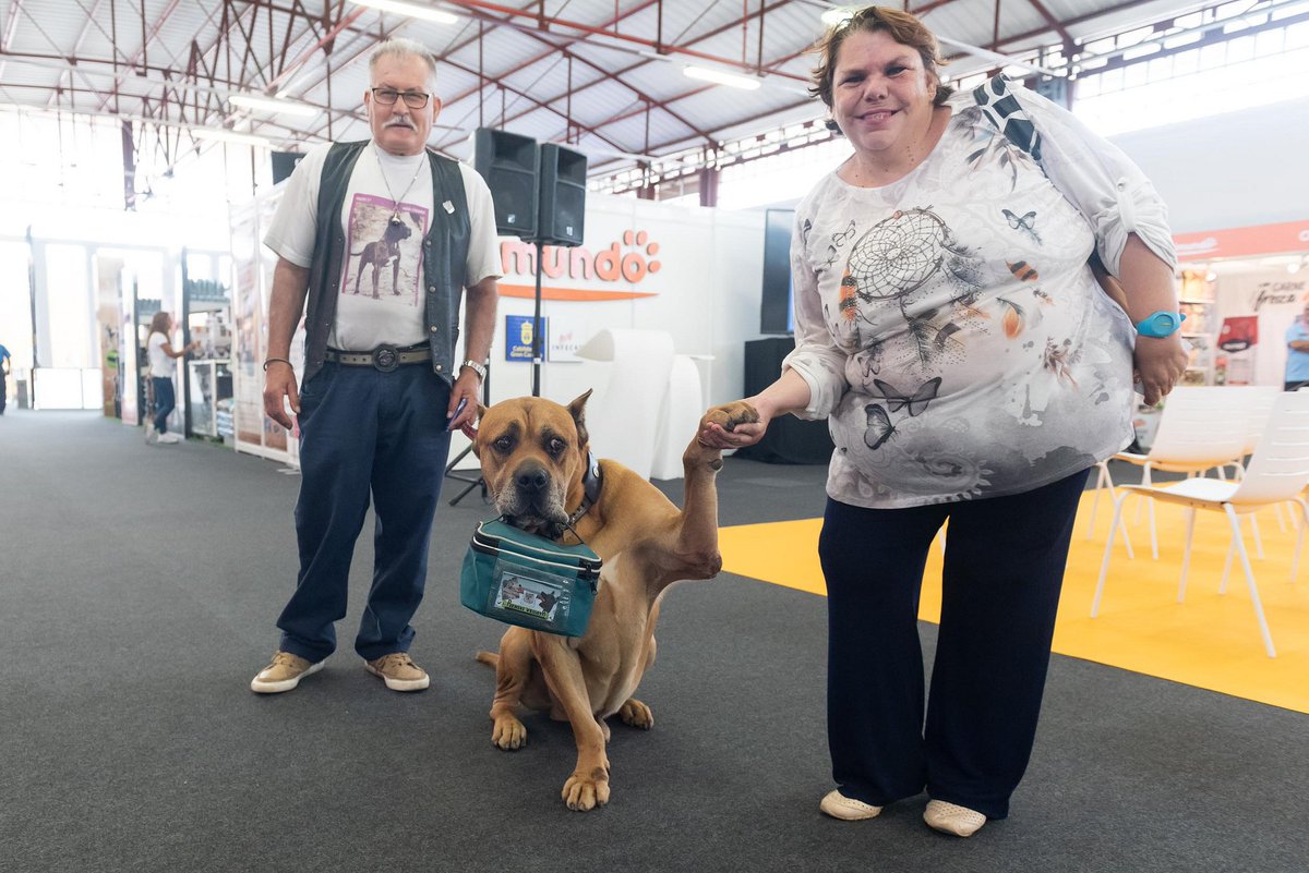 RadioArucas's tweet image. Éxito de adopciones en #Animundo. 45 perros del Albergue Insular de Animales de #Arucas ya tienen un nuevo hogar y personas que les dan cariño. La I Feria de los Animales de Compañía tenía el objetivo no solo promover las adopciones, sino la tenencia responsable de animales.