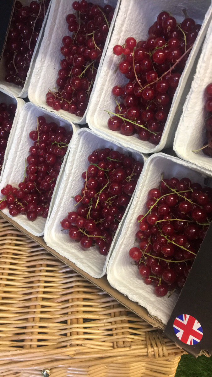 Alberti Greengrocer (@carolinehardma3) on Twitter photo 