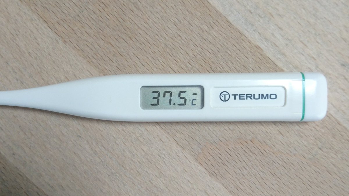 ばる ワイ 学校だるいから仮病で休むンゴw 祖母 学校いかへんのか どうしたん 頭痛 ワイ 数時間後 ワイ あれ 頭痛が痛いやで 体温計 W