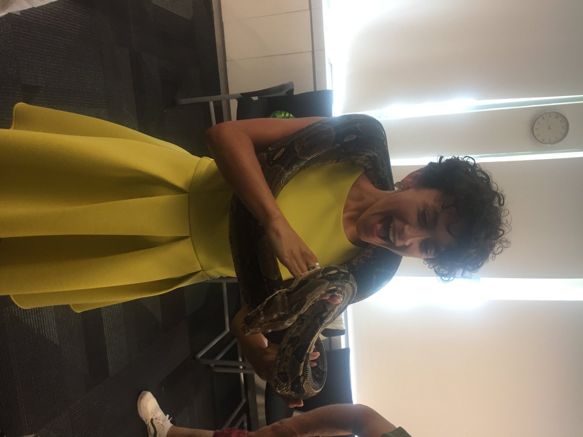 EventyHelen's tweet photo. We're getting geared up for #faceafear in the London office @thebhf with a visit from a huge snake and a tarantula! https://t.co/dImB9DhMOP