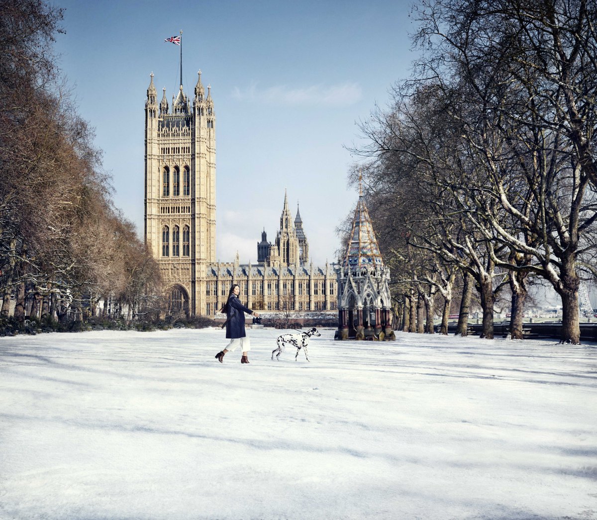 YummyHound's tweet photo. Good morning, we hope everyone is having a great Monday!

We love this image from our recent work with Millbank Properties, featuring Indica the Dalmatian 🐶

Can you Spot Indica? ⚪⚫⚪⚫ https://t.co/9XugRq7IZD
