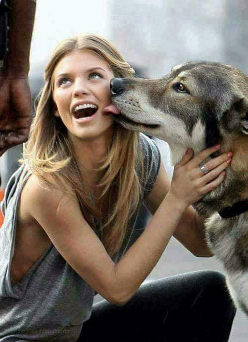 Girl two dog. Фотосессия с собакой. Собака облизывает. Собака с хозяйкой. Девушка целует собаку.