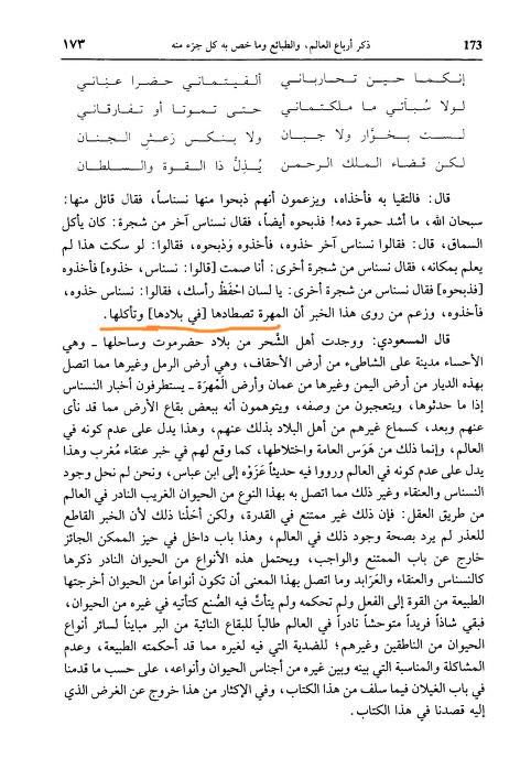 الآمر tweet media