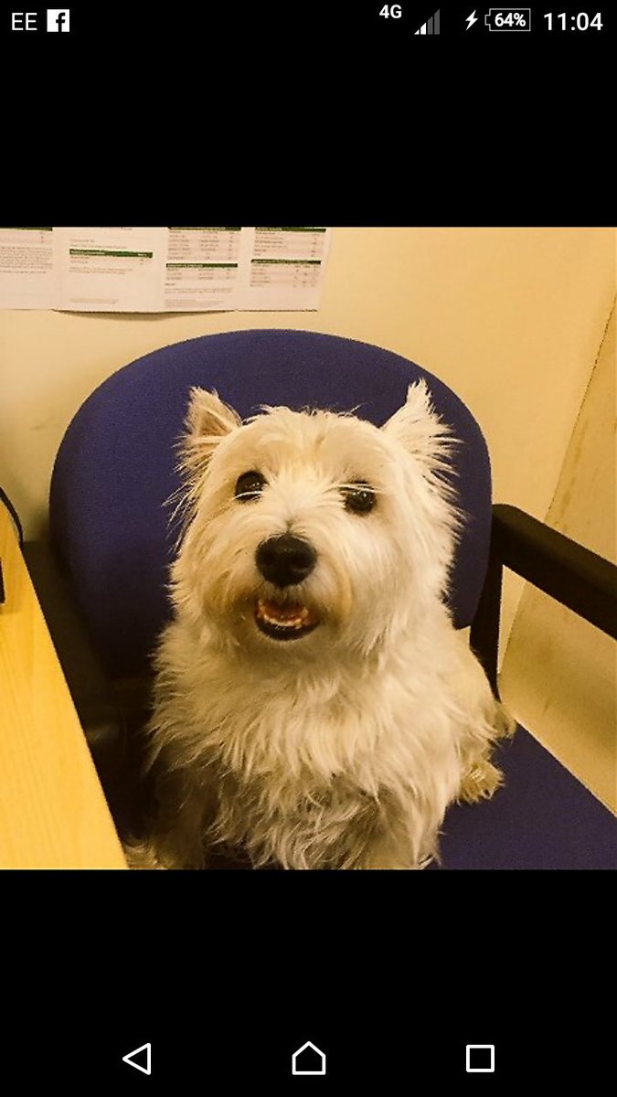 happy paws and claws