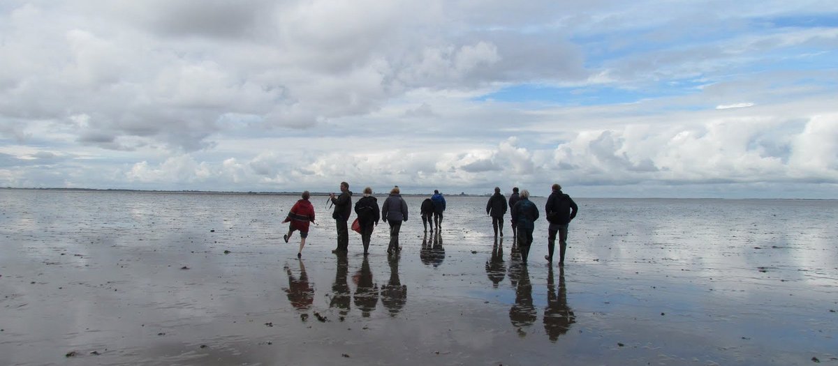 Waddenacademie tweet media