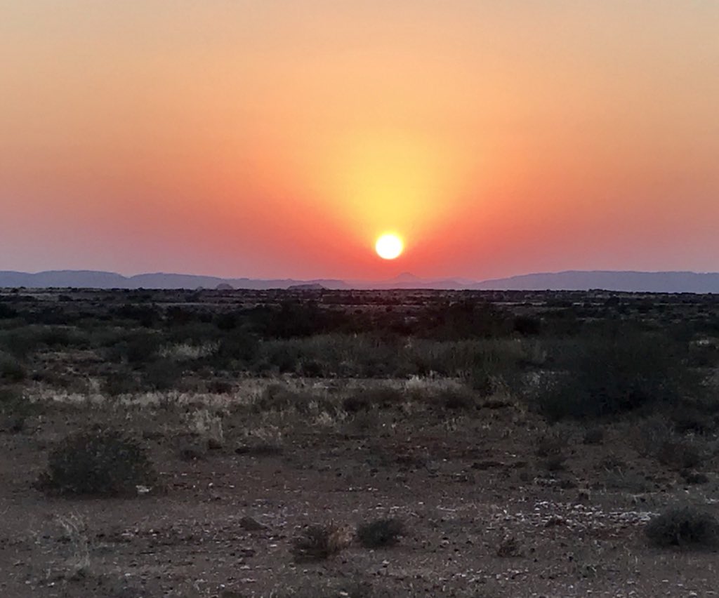 dwkamfer3's tweet photo. Orange River area, Northern Cape, South Africa. 🇿🇦🍇 https://t.co/rdMnUvucxY