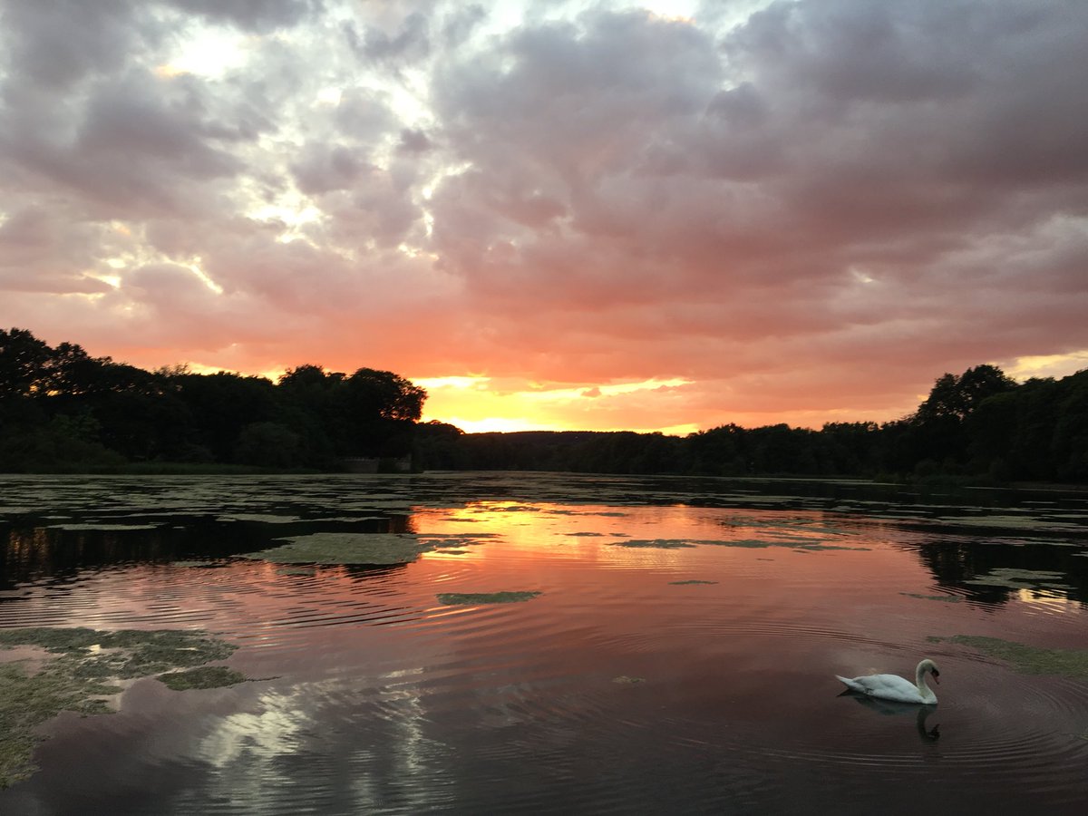 SiggersPhoto's tweet photo. Last nights sunset at @Newstead_Abbey 👍🌅 @VisitNotts @LoveEastMids @nottmhistory @MyNottingham @NottinghamRocks https://t.co/Q5sfCpbaDa