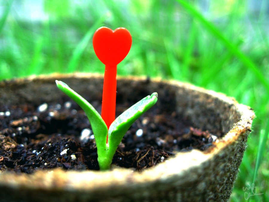 newunity's tweet photo. 'Love is built and shaped by a myriad of tiny actions. It flourishes through our attention, our sacrifice, and our own internal growth. And then it returns to nourish us all.'
#MondayMotivation #NewUnityTalks
https://t.co/u1OT3cUMuy https://t.co/pkLT6XC4Oe