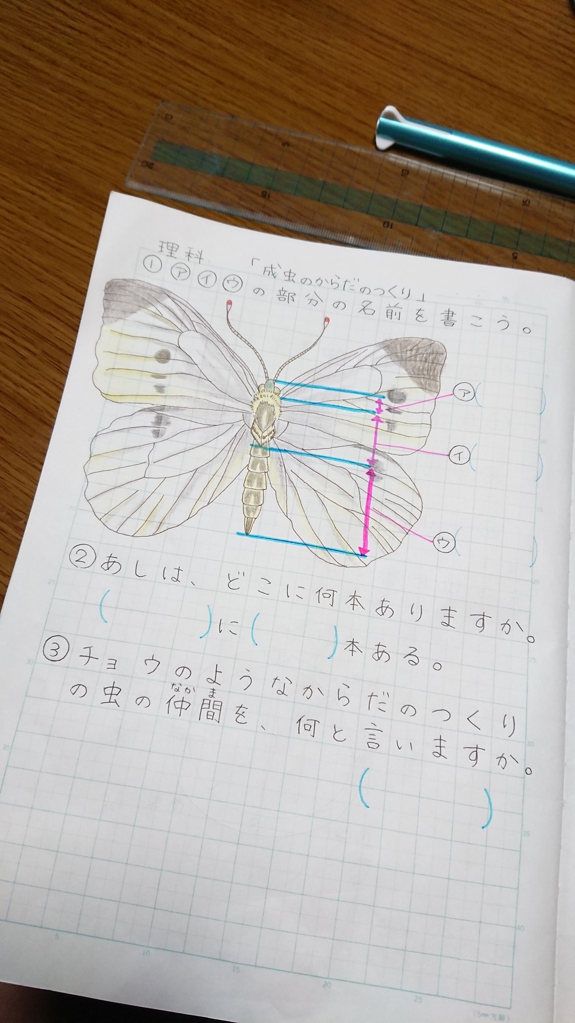 自主学習 勉強の5年生6年生のネタ切れに 算数社会理科のおすすめはこれ ロボットプログラミング教室体験談と小学生の習い事ブログ