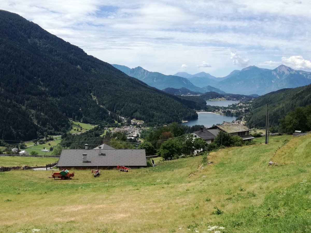 FC Bari 1908 tweet media