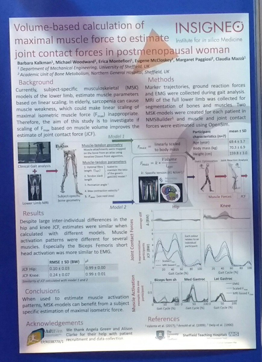 KalkmanBarbara's tweet photo. Presenting my poster today about subject specific muscle forces in muscluloskeletal models #WCB2018 @insigneo. Come and find me at P1667 https://t.co/bRPpm3t82m