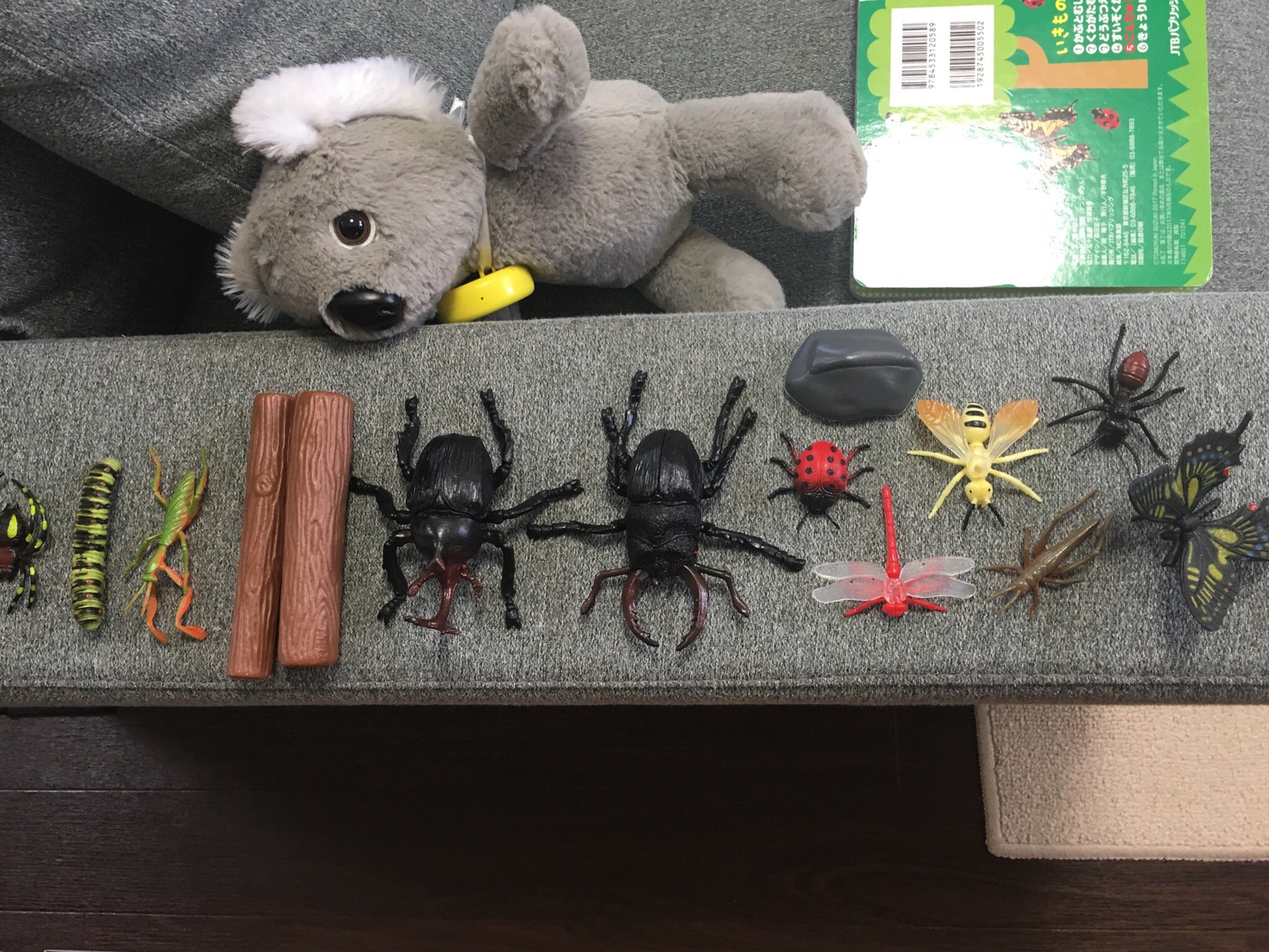 白井 功介 Shirai Kosuke Tcnアナウンサー ディレクター Twitterren 昆虫が欲しい と 息子にせがまれ買った 昆虫フィギュア 値段の割にリアル 息子は怖くて触れないようです 昆虫 フィギュア カブトムシ クワガタ カマキリ 蟻 バッタ てんとう 虫 蜂