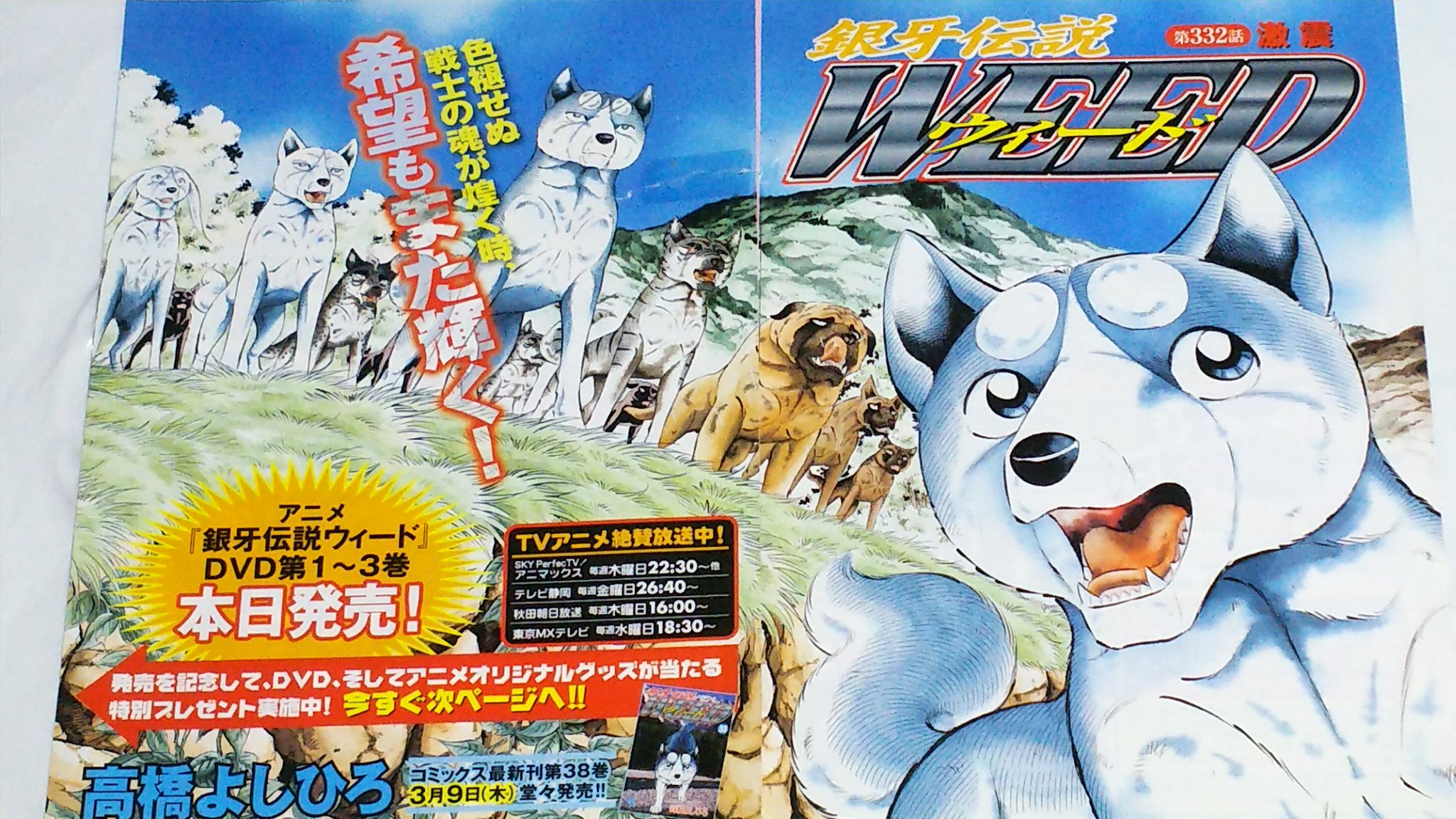 中原伸明 בטוויטר 銀牙 銀牙伝説weed ２００６年 ３月のゴラクに巻頭カラーで ウィードが登場しています 豪華な絵ですなあ 銀を先頭に奥羽の戦士たちが 格好いい 高橋よしひろ先生 久しぶりの渾身の絵ですね