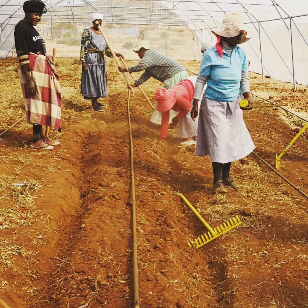 bee_spinner's tweet image. Giving Back: my company @HelloJoburgMag and I will be visiting a few communities for #mandeladay with @Operationhunger building sustainable veggy gardens
We are also donating pet food &amp;amp; blankets.
If you want to donate drop off at our office: 382 Jan Smuts Avenue Craighall