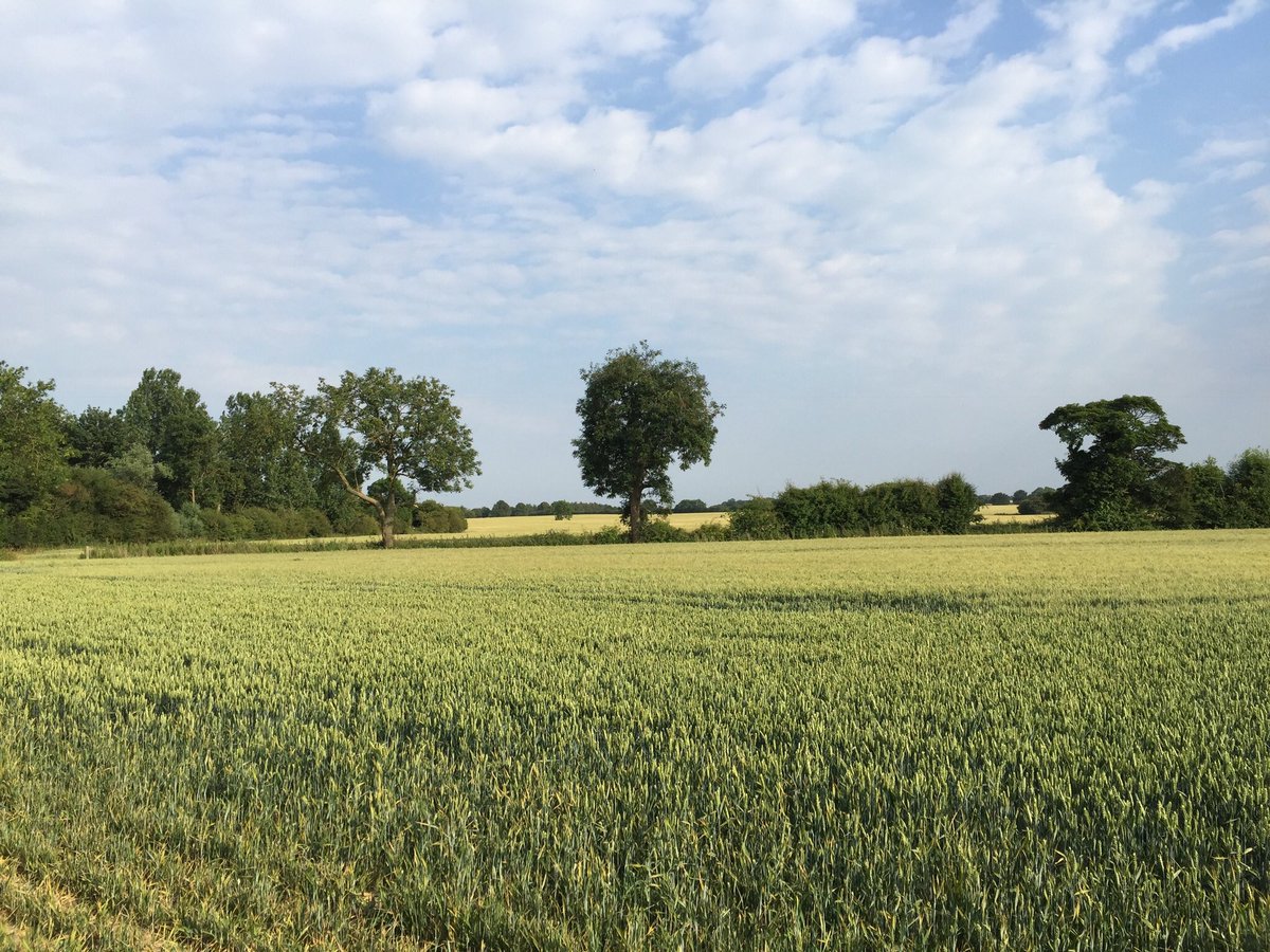 Any #yorkshiredales hotels or B&amp;Bs proud of their town or village and want to show it off? #yorkshire #dales #b&amp;bs #hotels #tourism #travel