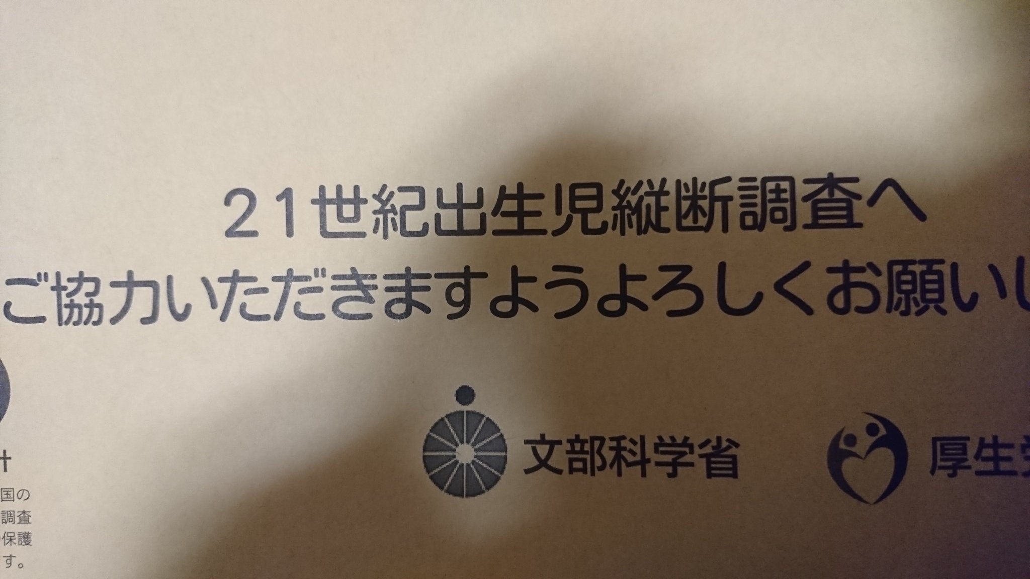 21世紀出生児縦断調査 Twitter Search Twitter