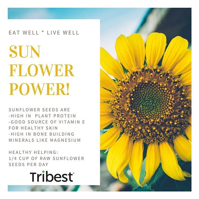 TribestUK's tweet photo. Monday inspirations for your healthiest life! #MotivationMonday https://t.co/gTaTQWhi4o
