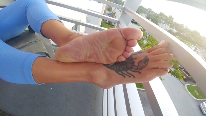 I'm feeling generous today https://t.co/GmLgyM9fNw<a href="/tag/softsoles"class="tags"><span>#softsoles</span></a><a href="/tag/harrybush"class="tags"><span>#harrybush</span></a>