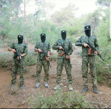 View image on Twitter