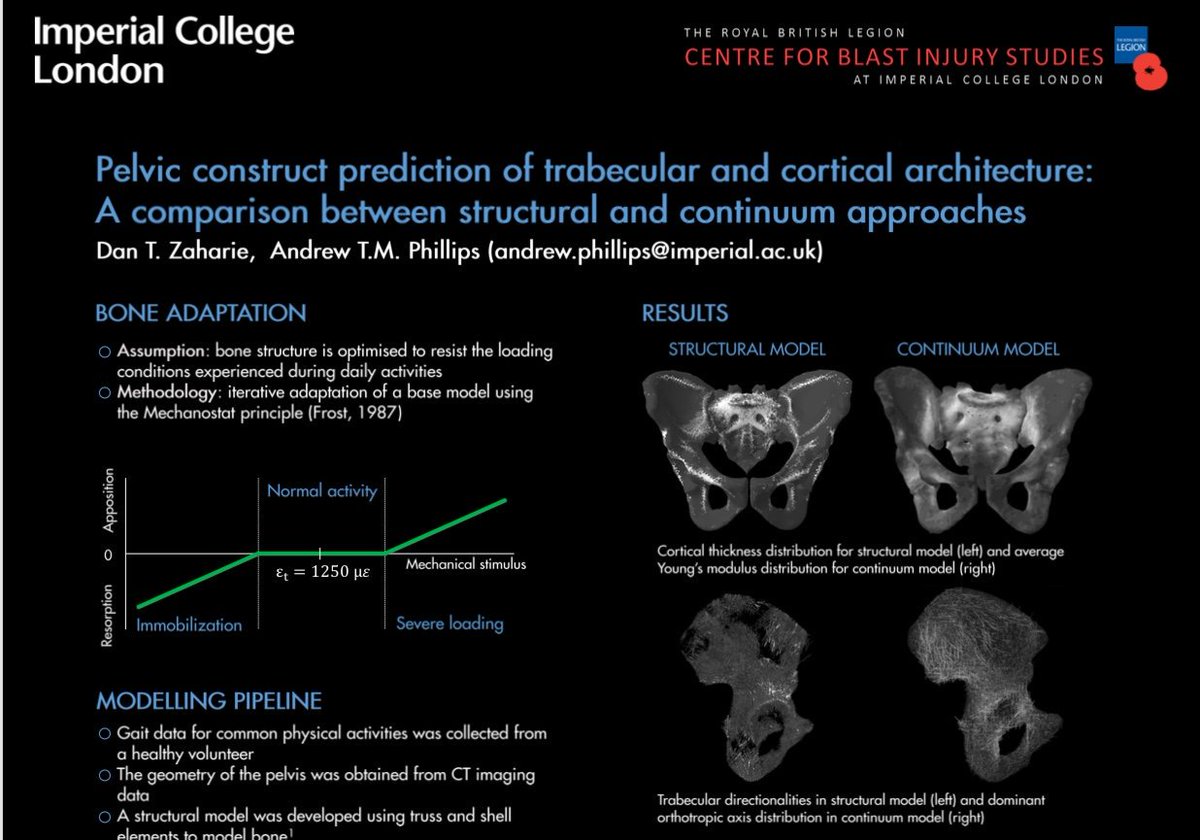atmphillips's tweet image. If you're interested in bone adaptation in response to different activities of daily living check out poster P1231 today #WCB2018 #structuralmodelling @DanTudorZaharie