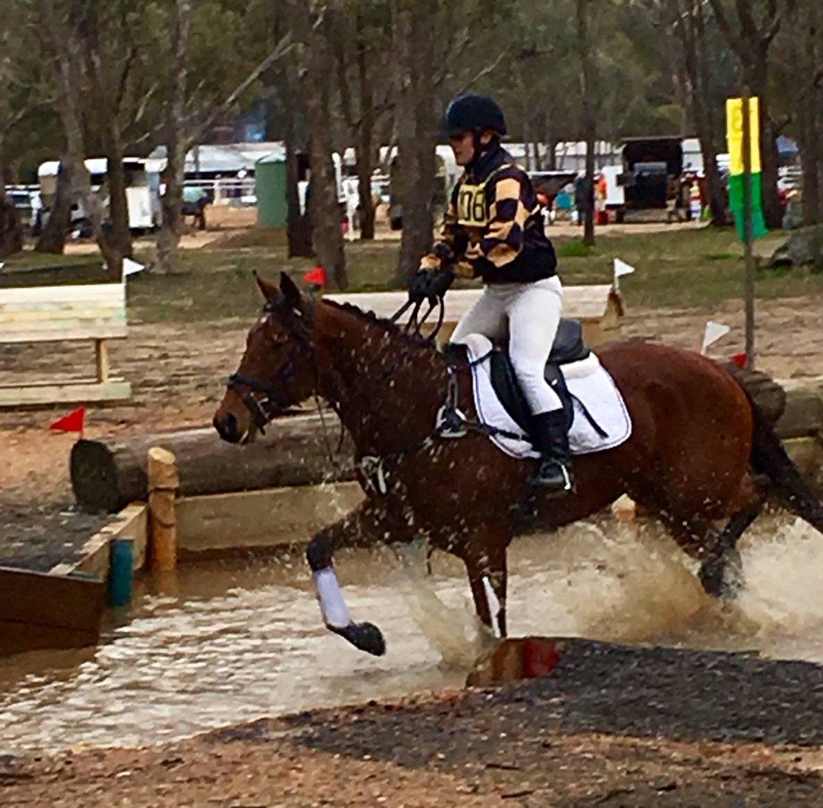 GrandSyndicates's tweet image. Another happy "Off The Track" galloper Peppermint Lane!
Won 3 for us before she met her mark, but WOWEE she loves her new OTT life!
Even still has the Grand silks!!!
#TeamGrand #Retrained #Rehomed #4Corners