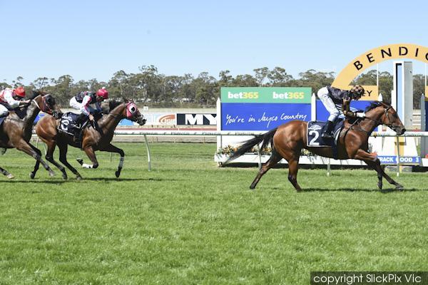 GrandSyndicates's tweet image. Another happy "Off The Track" galloper Peppermint Lane!
Won 3 for us before she met her mark, but WOWEE she loves her new OTT life!
Even still has the Grand silks!!!
#TeamGrand #Retrained #Rehomed #4Corners