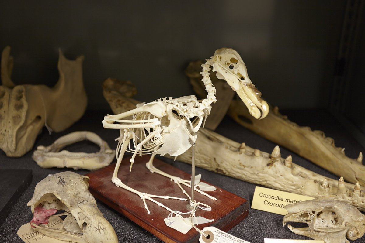 Museum Collection Centre tweet media