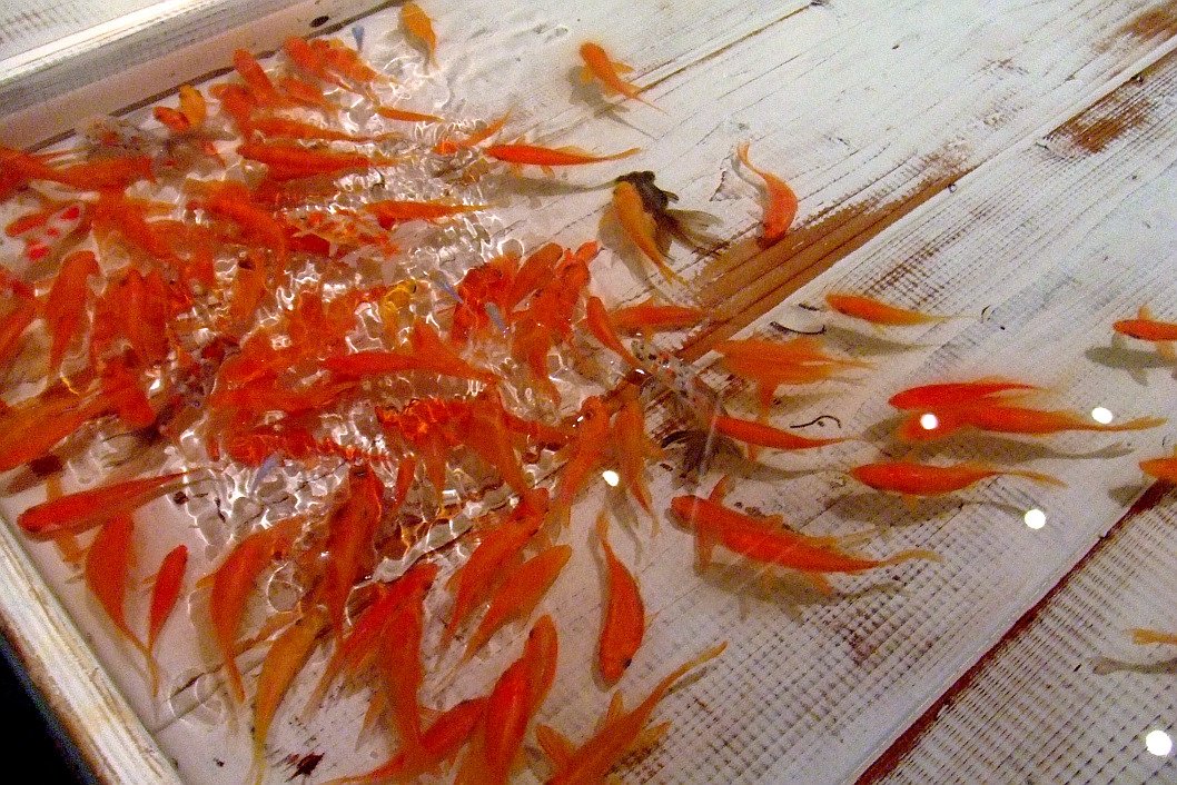 おおこしたかのぶ tweet media