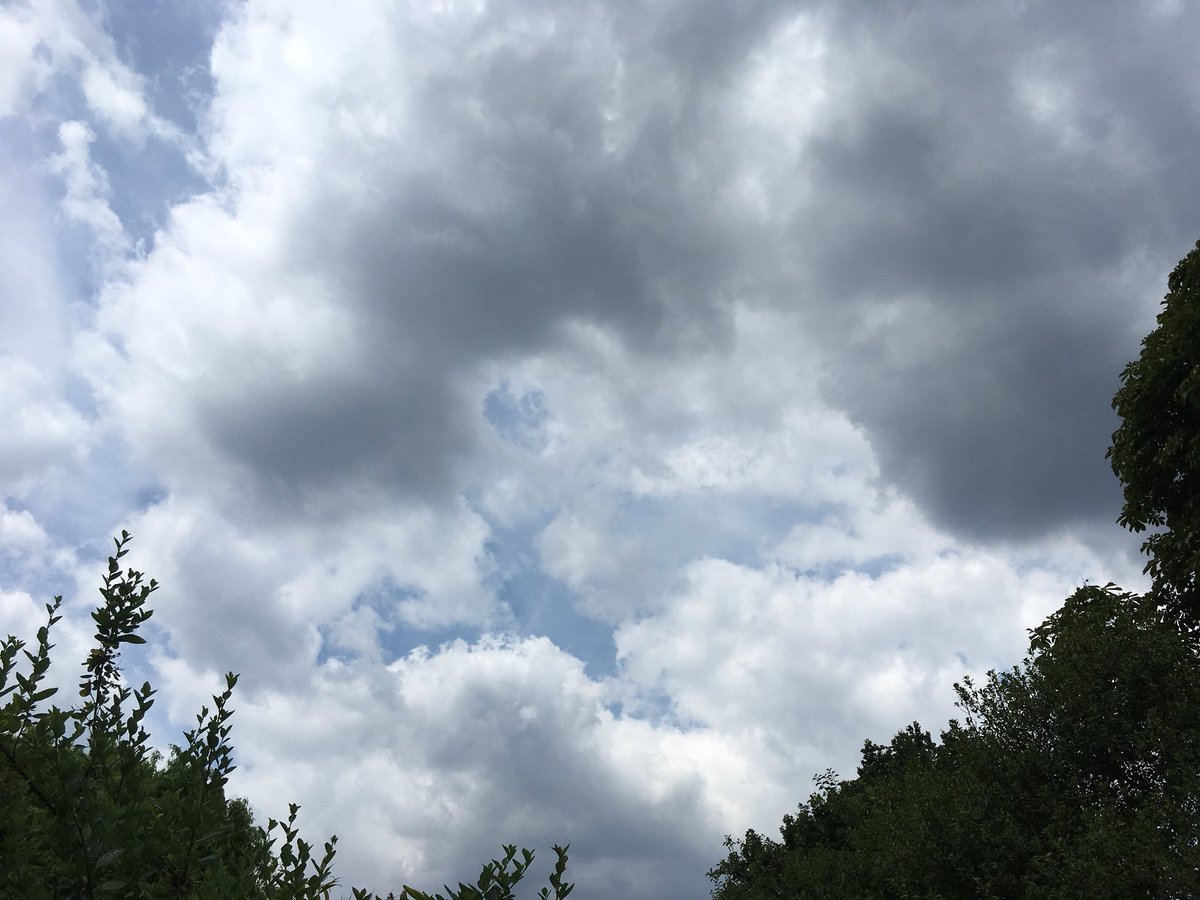 Dear God, what are these things?!