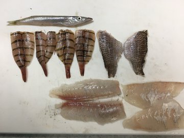アイゴの食べ方は刺身が一番 味わいは さばき方や毒針の注意点も紹介 ちそう